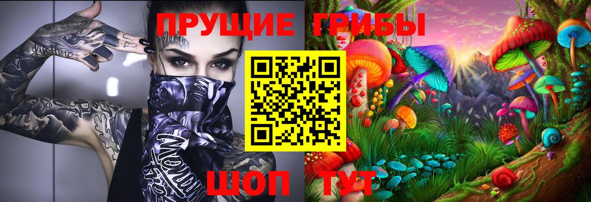 Псилоцибиновые грибы мицелий Лабинск